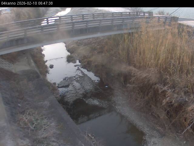 最新監視カメラ画像