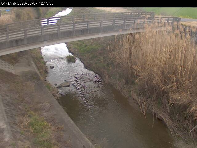 最新監視カメラ画像