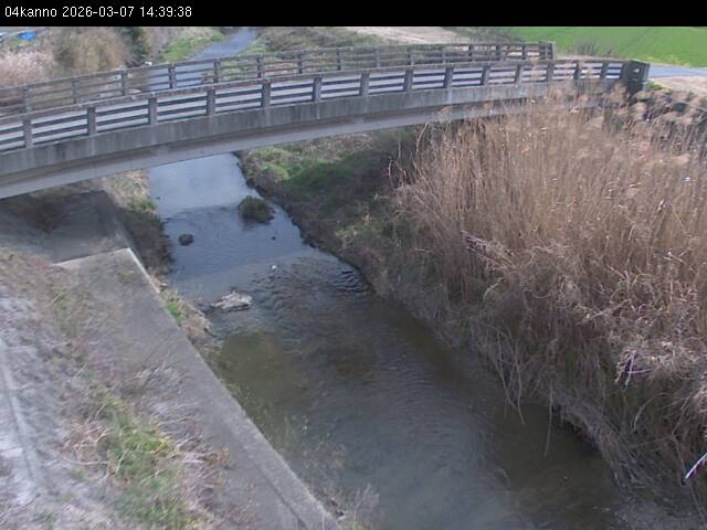 最新監視カメラ画像