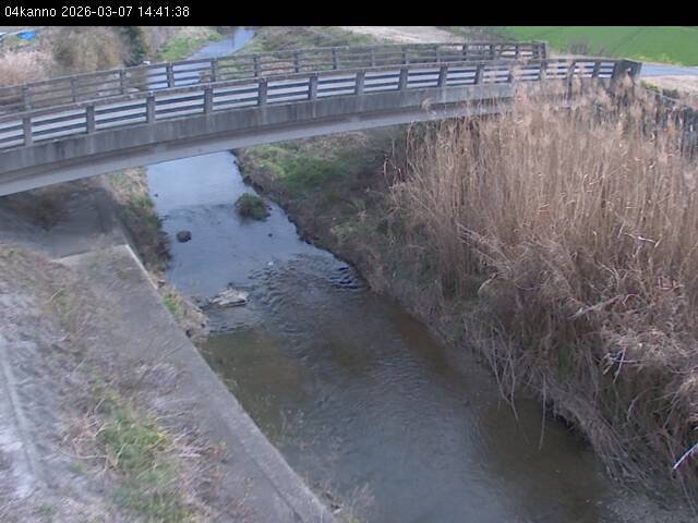 最新監視カメラ画像