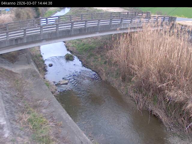 最新監視カメラ画像