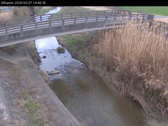 最新監視カメラ画像