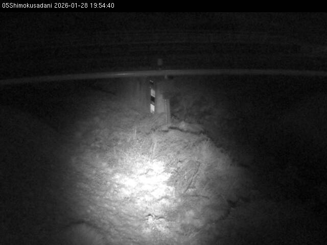 最新監視カメラ画像