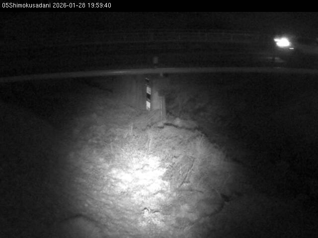 最新監視カメラ画像