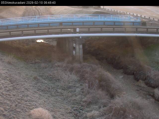 最新監視カメラ画像