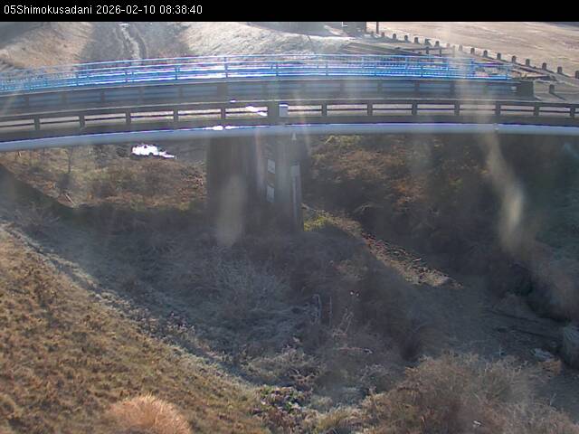 最新監視カメラ画像