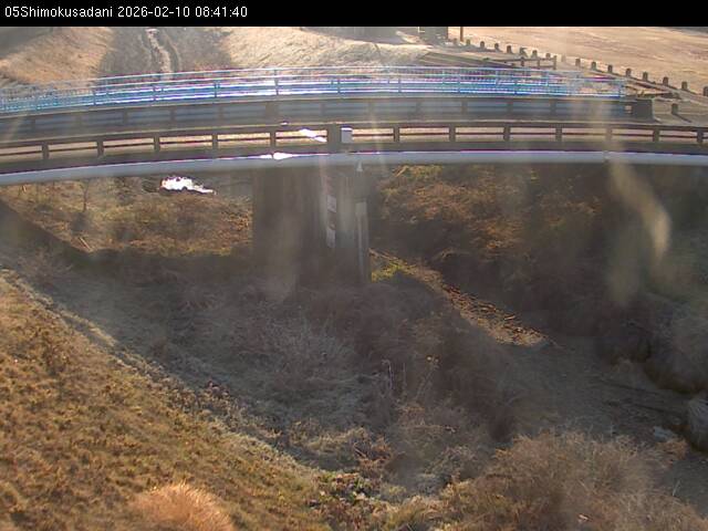 最新監視カメラ画像