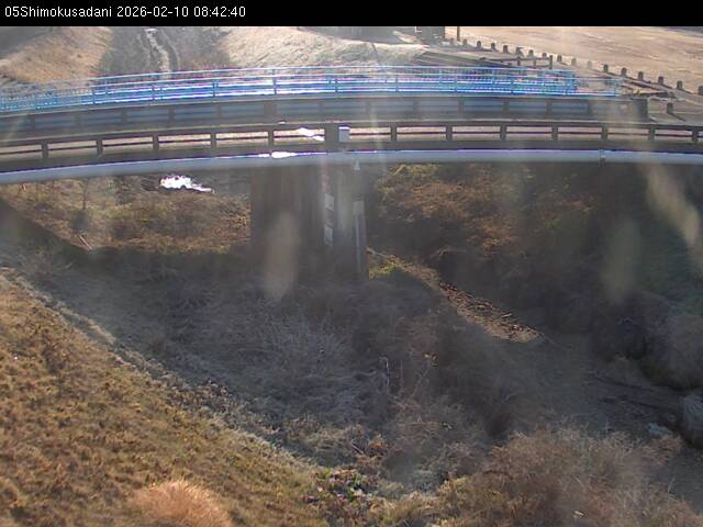 最新監視カメラ画像