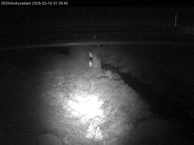 最新監視カメラ画像