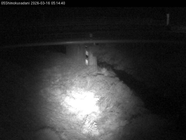 最新監視カメラ画像