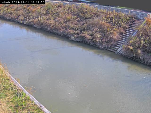 最新監視カメラ画像