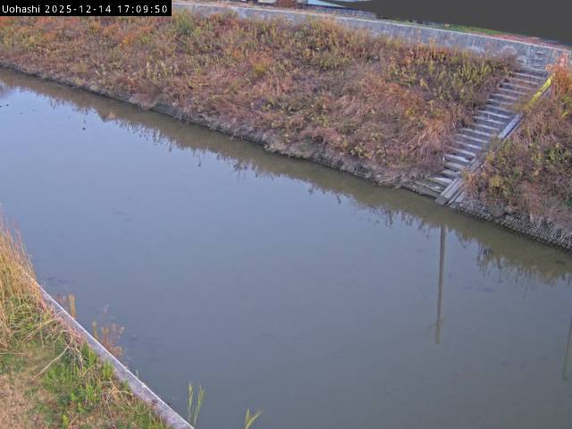 最新監視カメラ画像