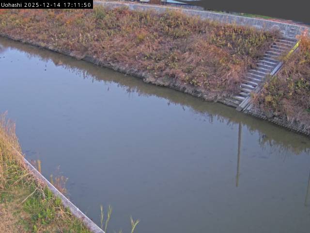 最新監視カメラ画像