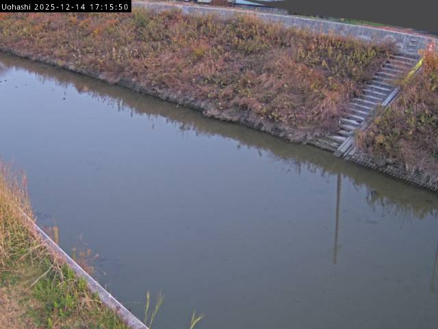 最新監視カメラ画像