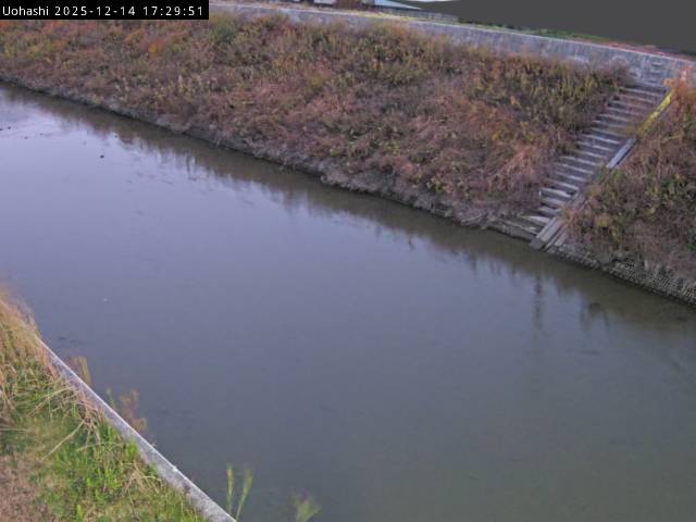 最新監視カメラ画像