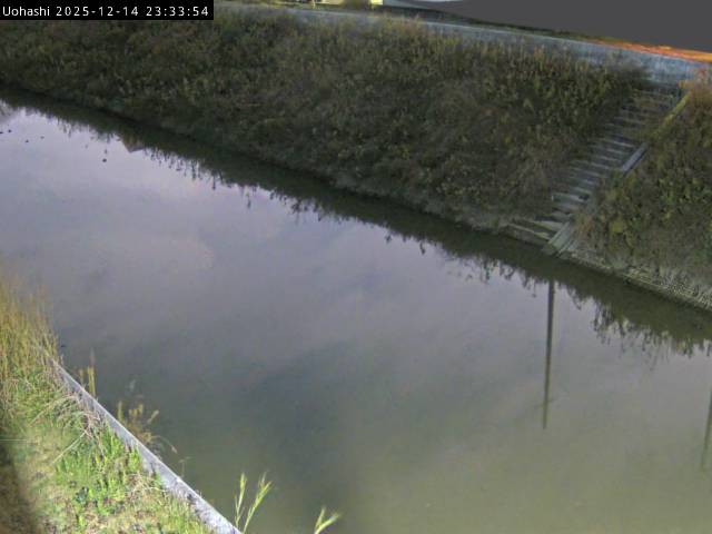 最新監視カメラ画像