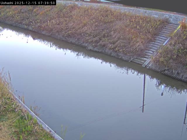 最新監視カメラ画像