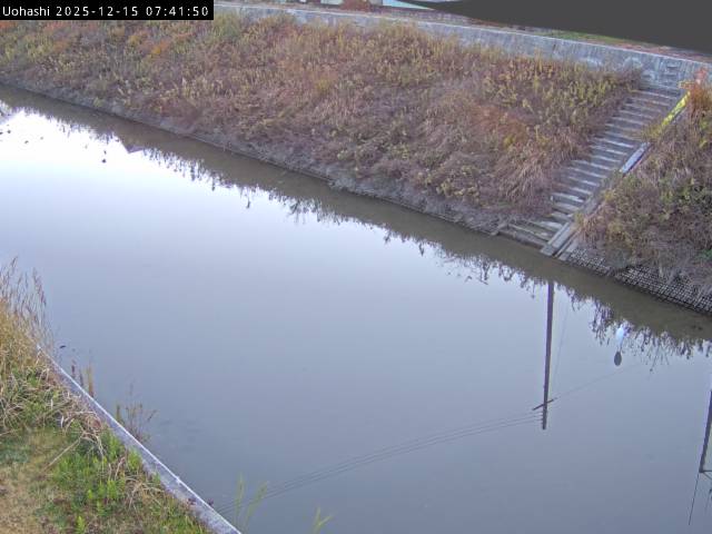 最新監視カメラ画像