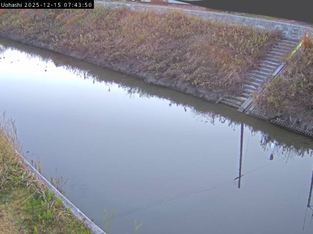 最新監視カメラ画像