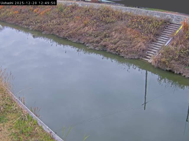 最新監視カメラ画像