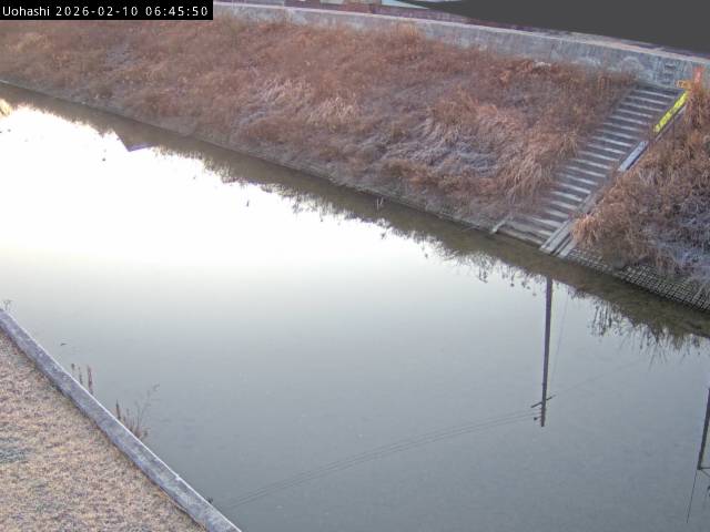 最新監視カメラ画像