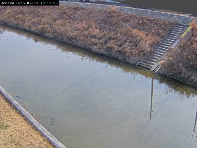 最新監視カメラ画像