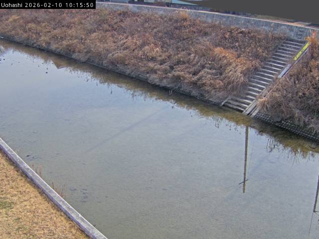 最新監視カメラ画像