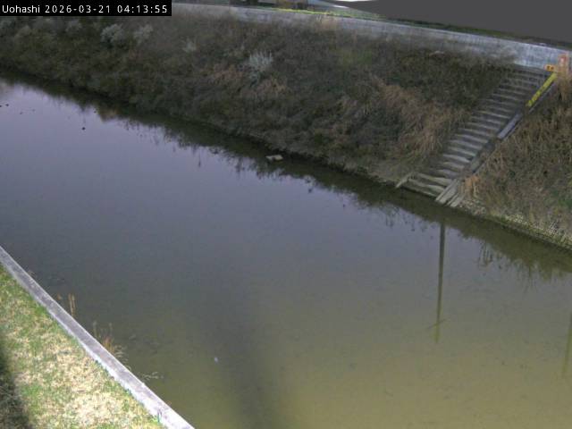 最新監視カメラ画像