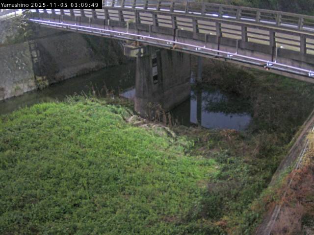 最新監視カメラ画像