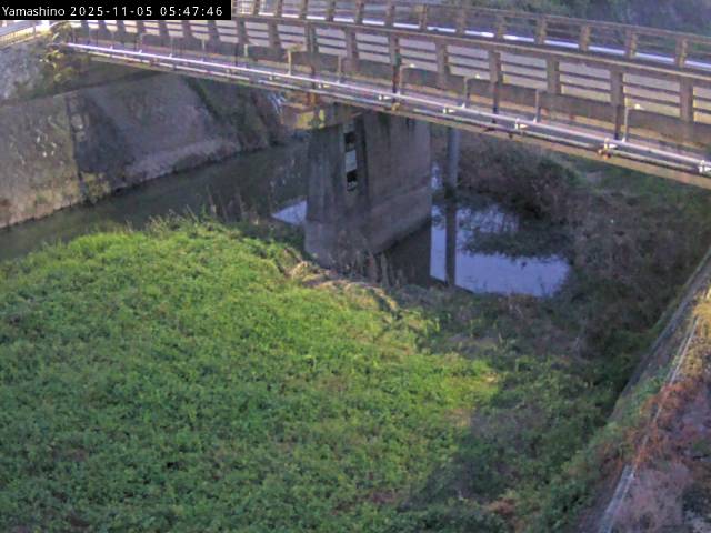 最新監視カメラ画像