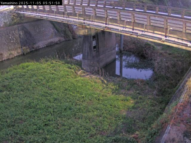 最新監視カメラ画像