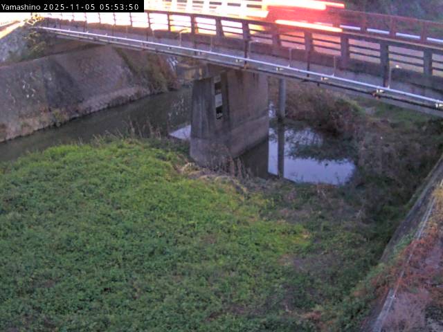 最新監視カメラ画像