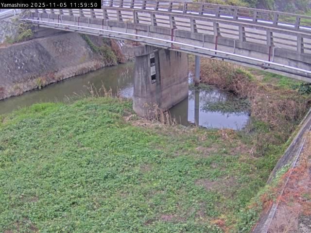 最新監視カメラ画像