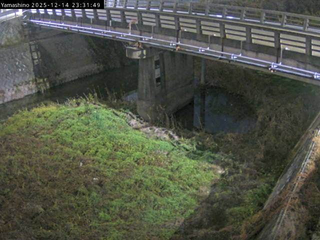 最新監視カメラ画像