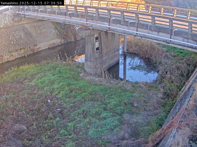 最新監視カメラ画像