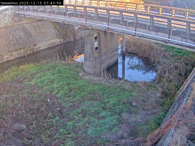 最新監視カメラ画像