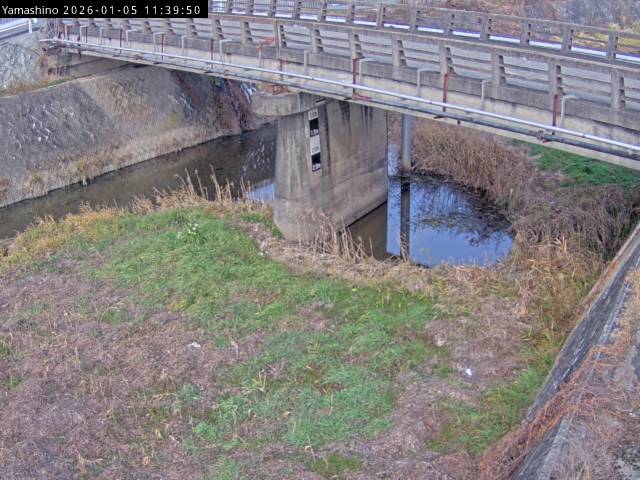 最新監視カメラ画像