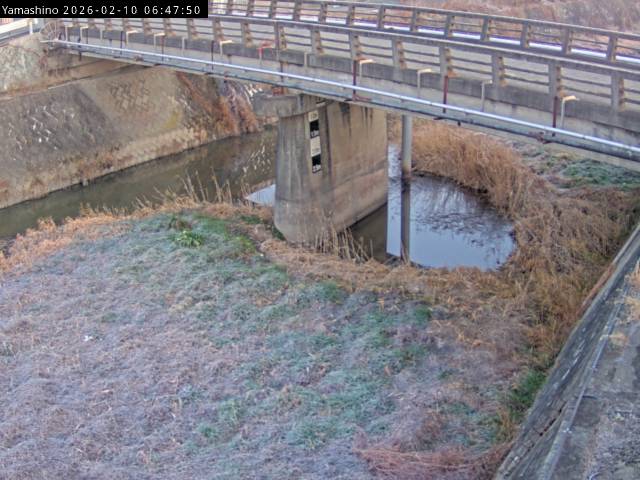 最新監視カメラ画像