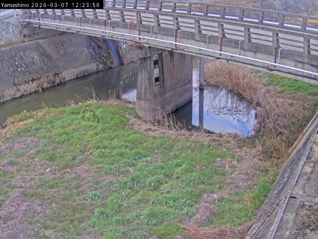 最新監視カメラ画像