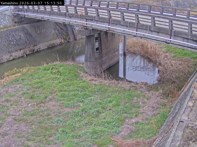 最新監視カメラ画像