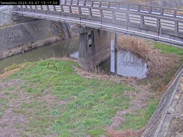 最新監視カメラ画像