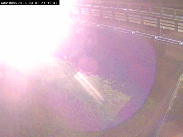 最新監視カメラ画像