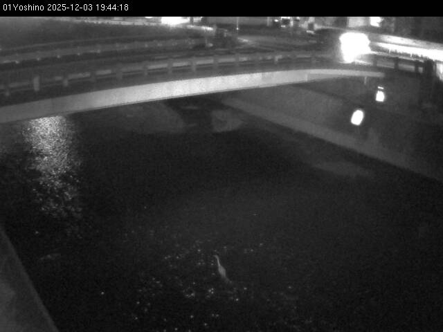 最新監視カメラ画像