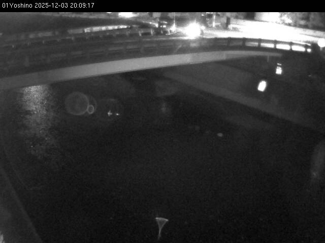 最新監視カメラ画像