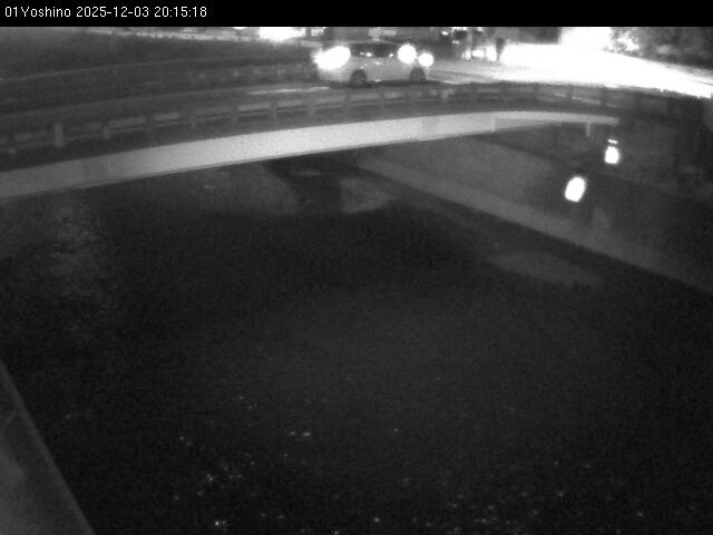 最新監視カメラ画像