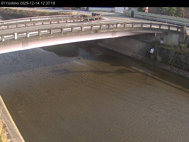 最新監視カメラ画像