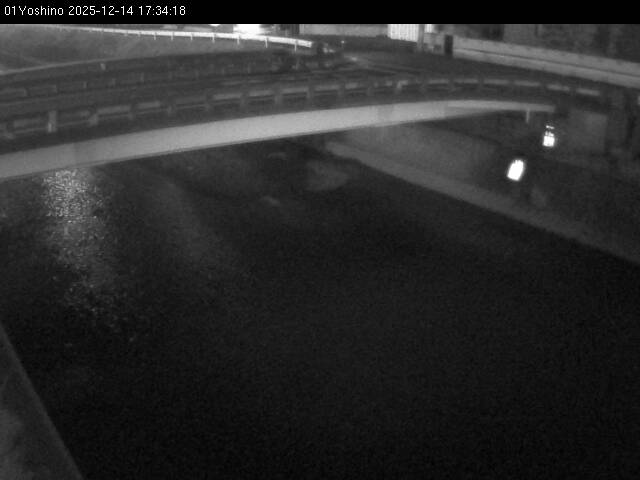 最新監視カメラ画像