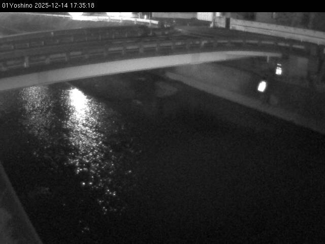 最新監視カメラ画像