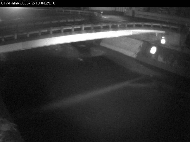 最新監視カメラ画像