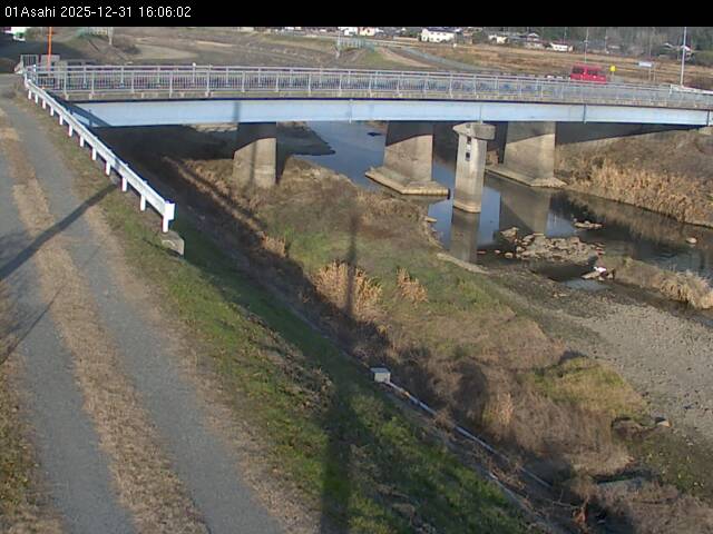 最新監視カメラ画像